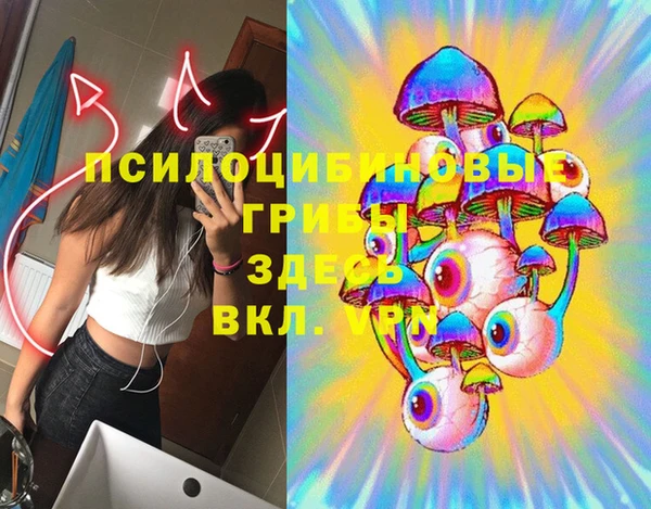 спайс Баксан