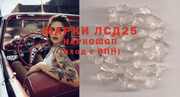 спайс Баксан