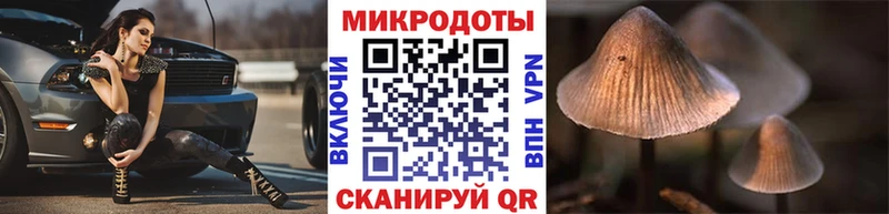 hydra tor Ступино Псилоцибиновые грибы Psilocybine cubensis